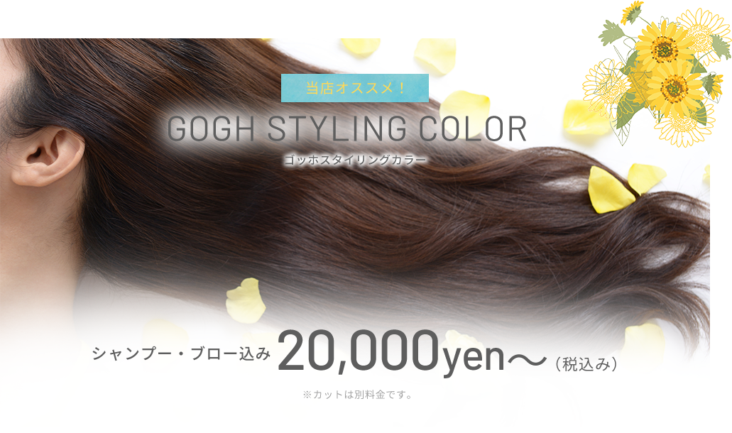 当店オススメ! GOGH STYLING COLOR ゴッホスタイリングカラー シャンプー・ブロー込み 20,000 yen~(税込み) ※カットは別料金です。